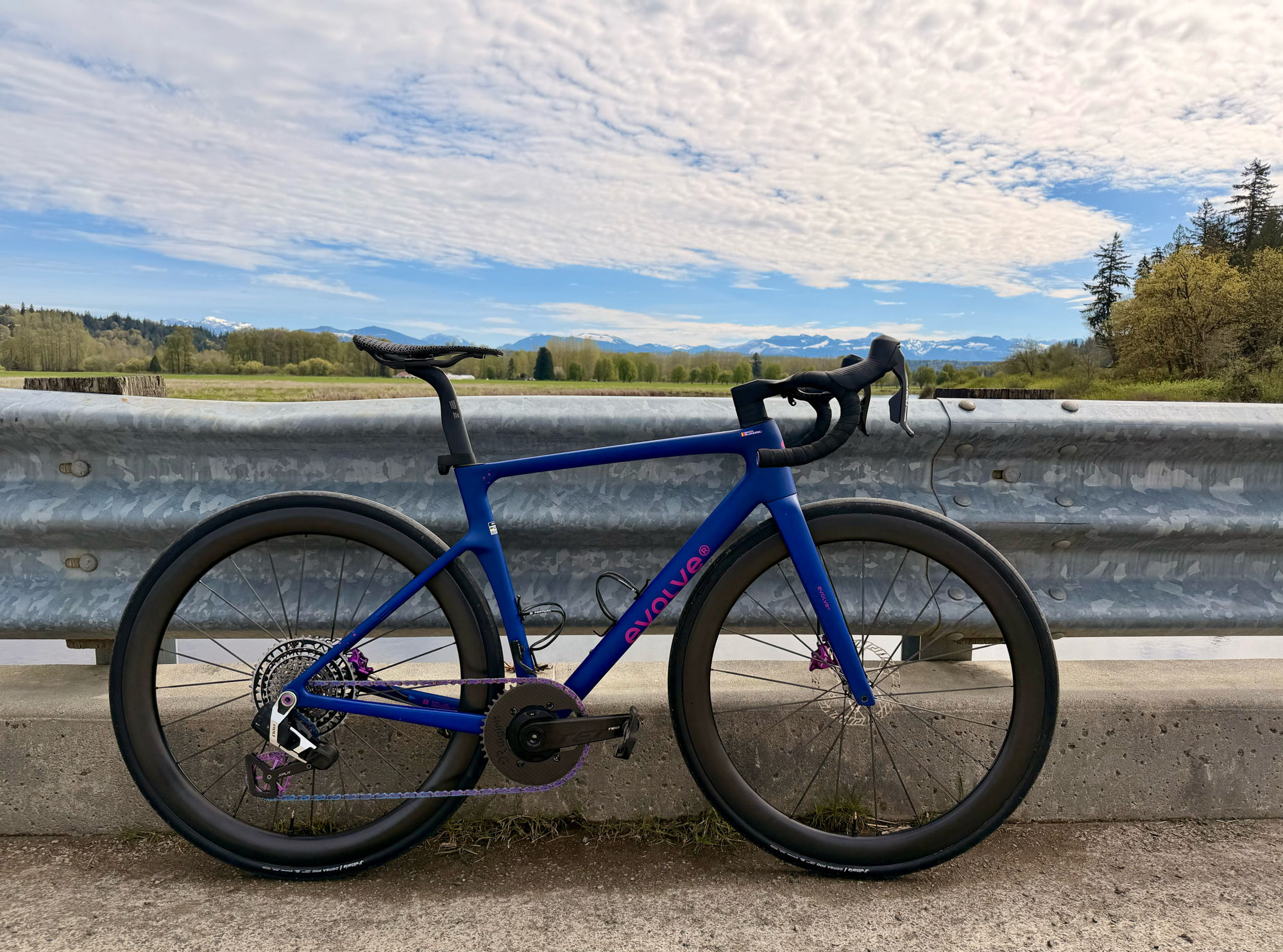 Deep cobalt Evolve Cima with magenta type, on QianKun 50mm carbon wheels.